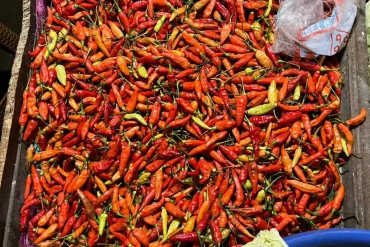PIHPS 5 Juni 2026: Cabai Rawit Rp68.000/kg dan Telur Ayam Rp28.500/kg