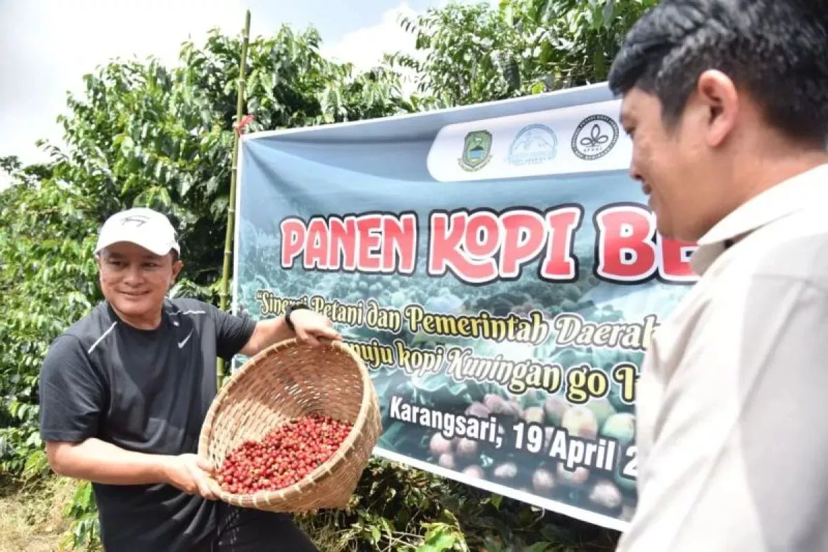 Ekspor 38 Ton Kopi Jabar ke Tiongkok dan Maroko Perkuat Posisi Global