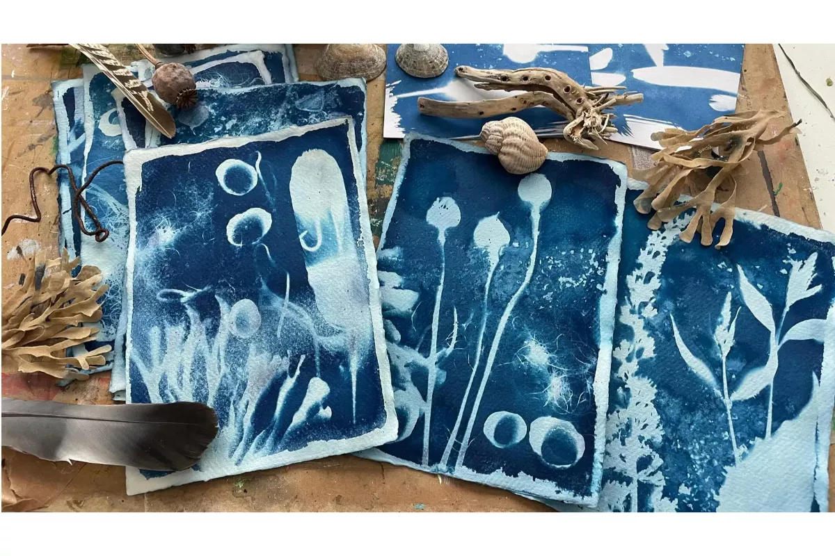 Cara Membuat Cyanotype Print: Seni Cetak Biru Matahari yang Memukau