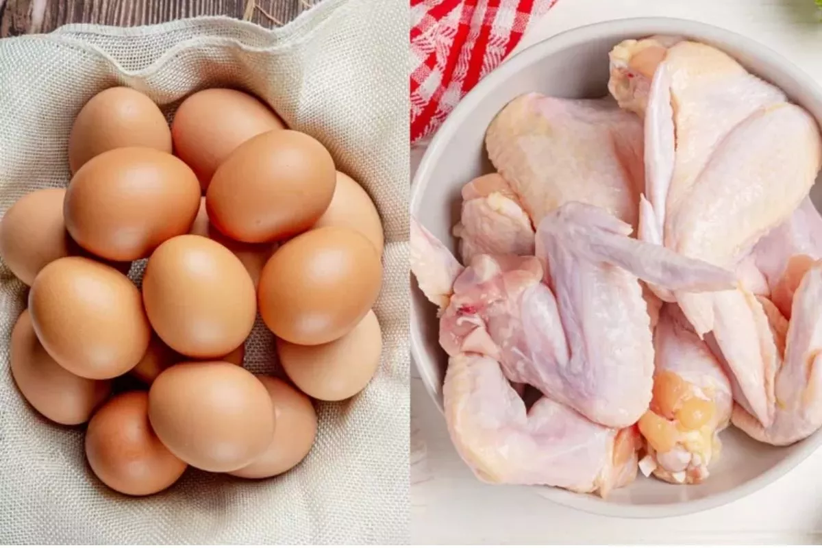 Kementan Proyeksi Produksi Daging Ayam dan Telur Surplus pada 2026