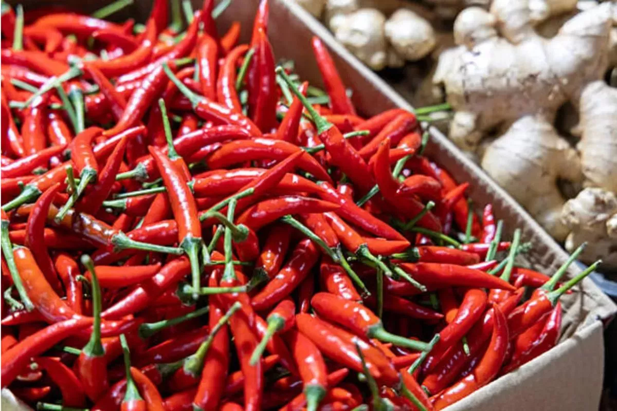 Harga Cabai Rawit Rp65.000/kg, Telur Ayam Rp25.000/kg di PIHPS