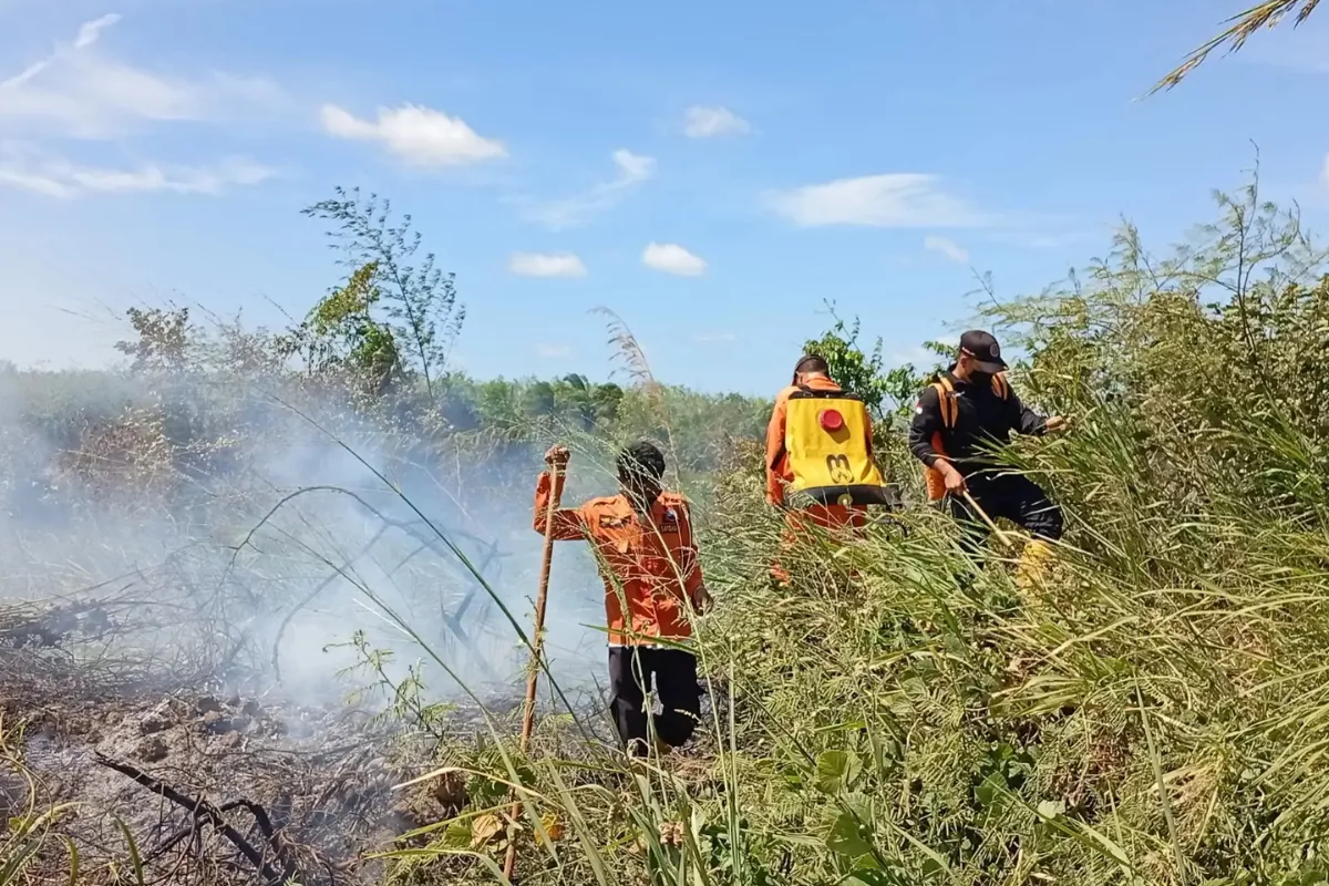 BNPB Prioritaskan Palangka Raya dan Pulang Pisau Tangani Karhutla