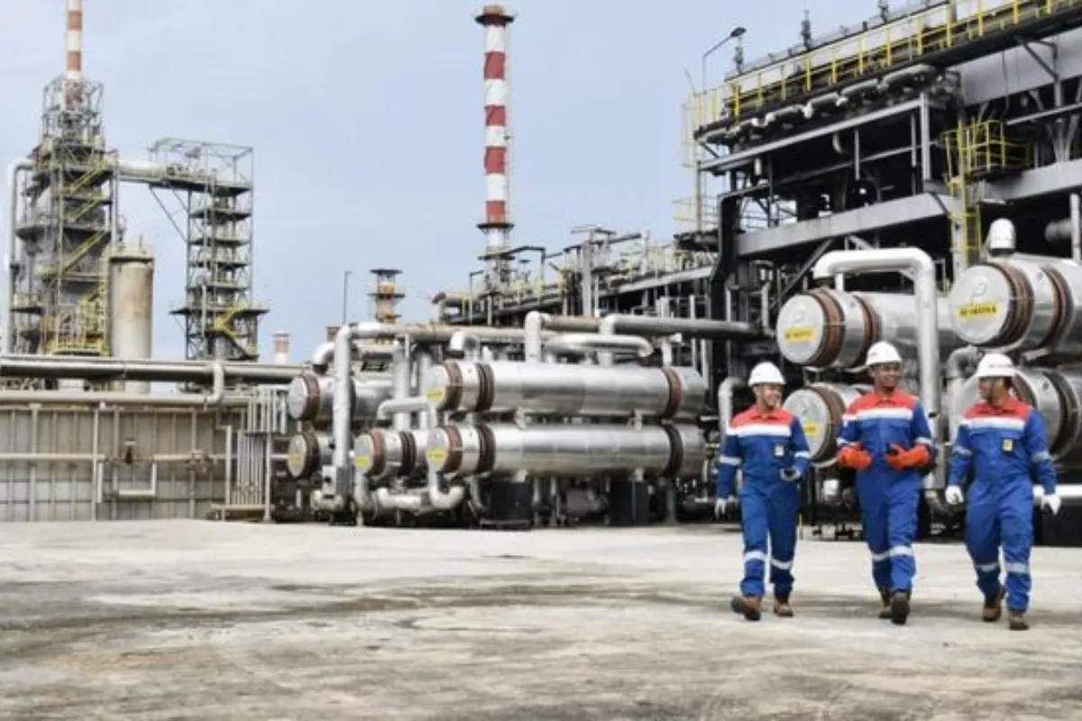 Anak Usaha Pertamina Setor Rp 4,87 Triliun Bagi Kas Negara Tahun 2025