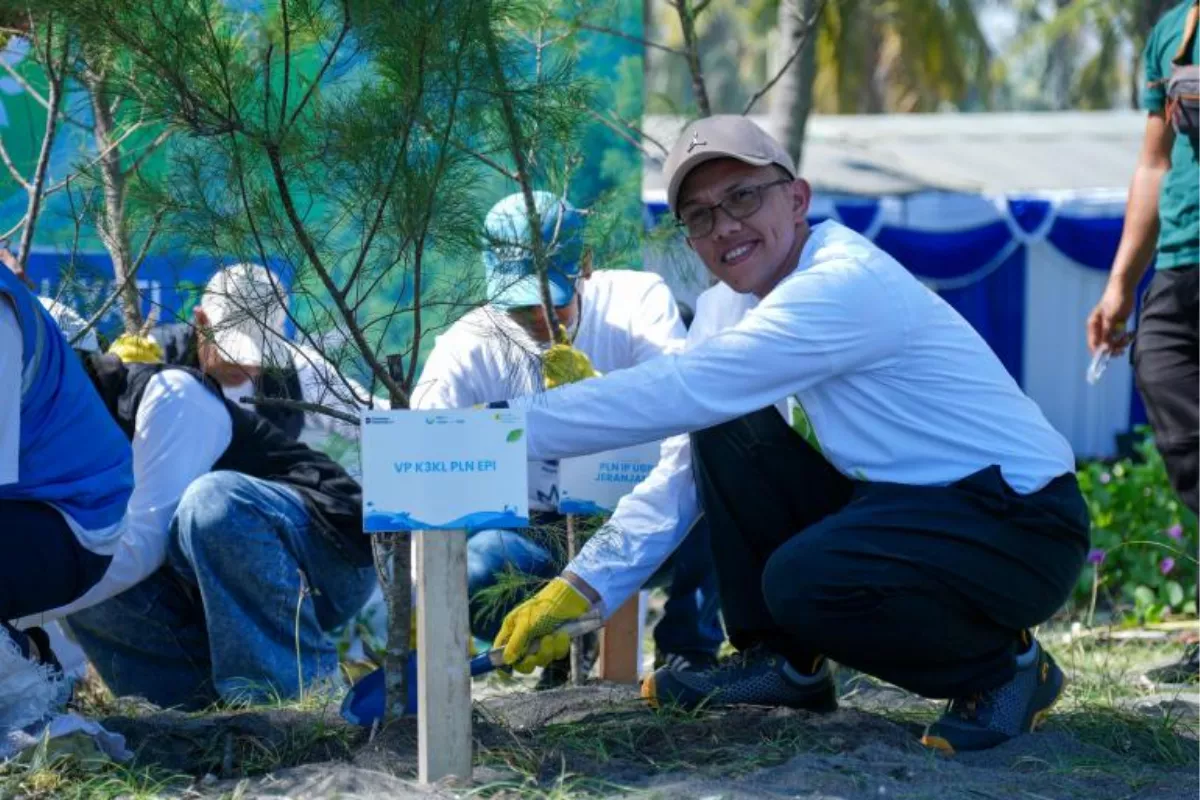 PLN EPI Gencarkan Dekarbonisasi Melalui Pemulihan Ekosistem Mangrove
