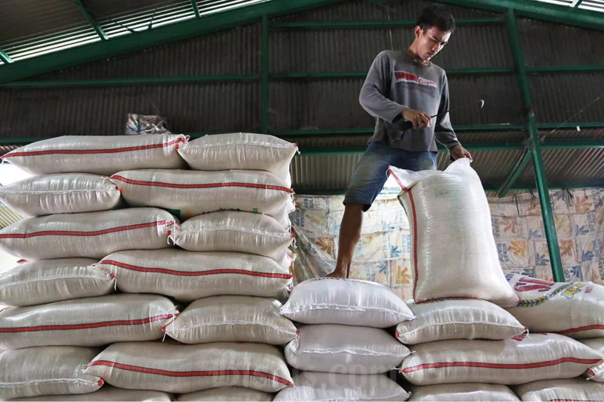 Stok Beras RI Cetak Rekor, tapi Harga di Pasar Terus Naik