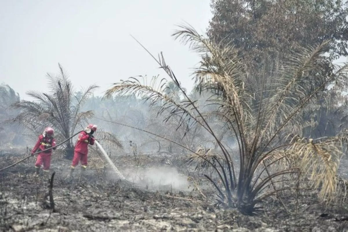 Respons Karhutla, Kemenkes Siapkan Surat Edaran Pembelajaran PJJ
