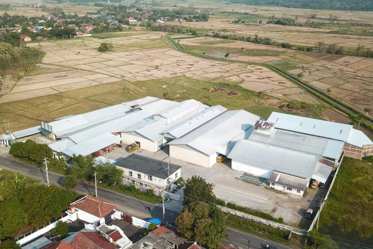 Kinerja WMPP Membaik dan Meraup Laba Rp123,5 Miliar pada Tahun 2026