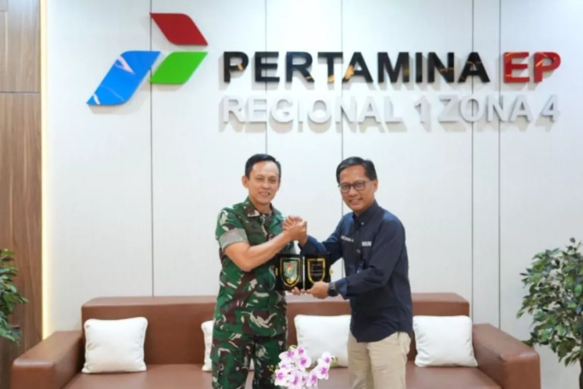 Sinergi Migas dan EBT Perkuat Ketahanan Energi Nasional
