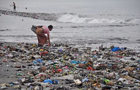 Pentingnya Menjaga Kebersihan Laut dari Sampah Plastik Bagi Ekosistem