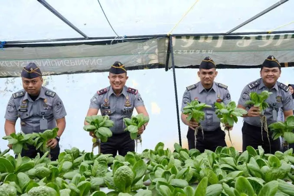 Polda Metro Jaya Panen 82 Kg Pakcoy untuk Bahan Baku Program MBG