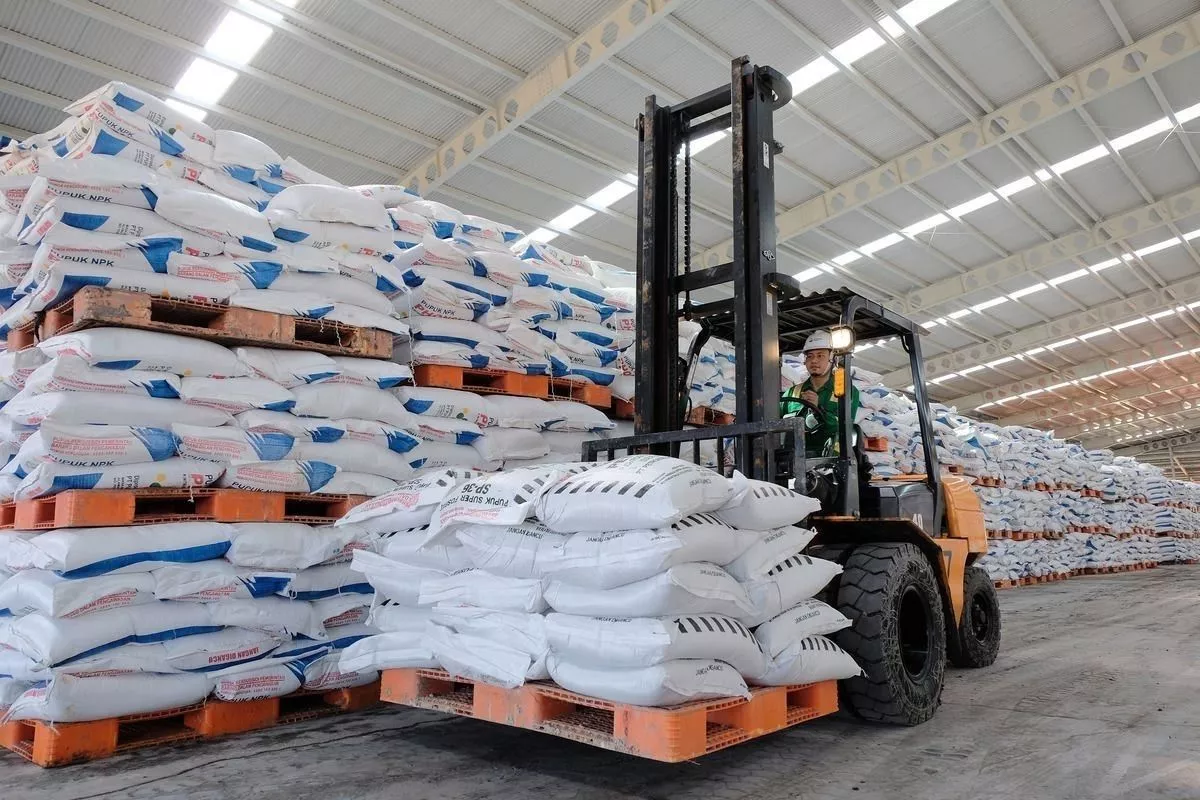 Produktivitas Padi Dairi Naik 2 Lipat Didorong Pupuk Indonesia