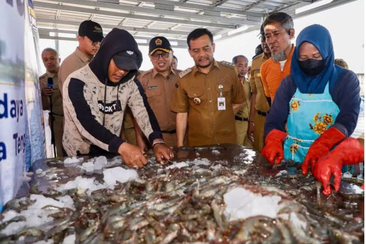Pemprov Jateng Panen Raya Udang Vaname di Kawasan Industri