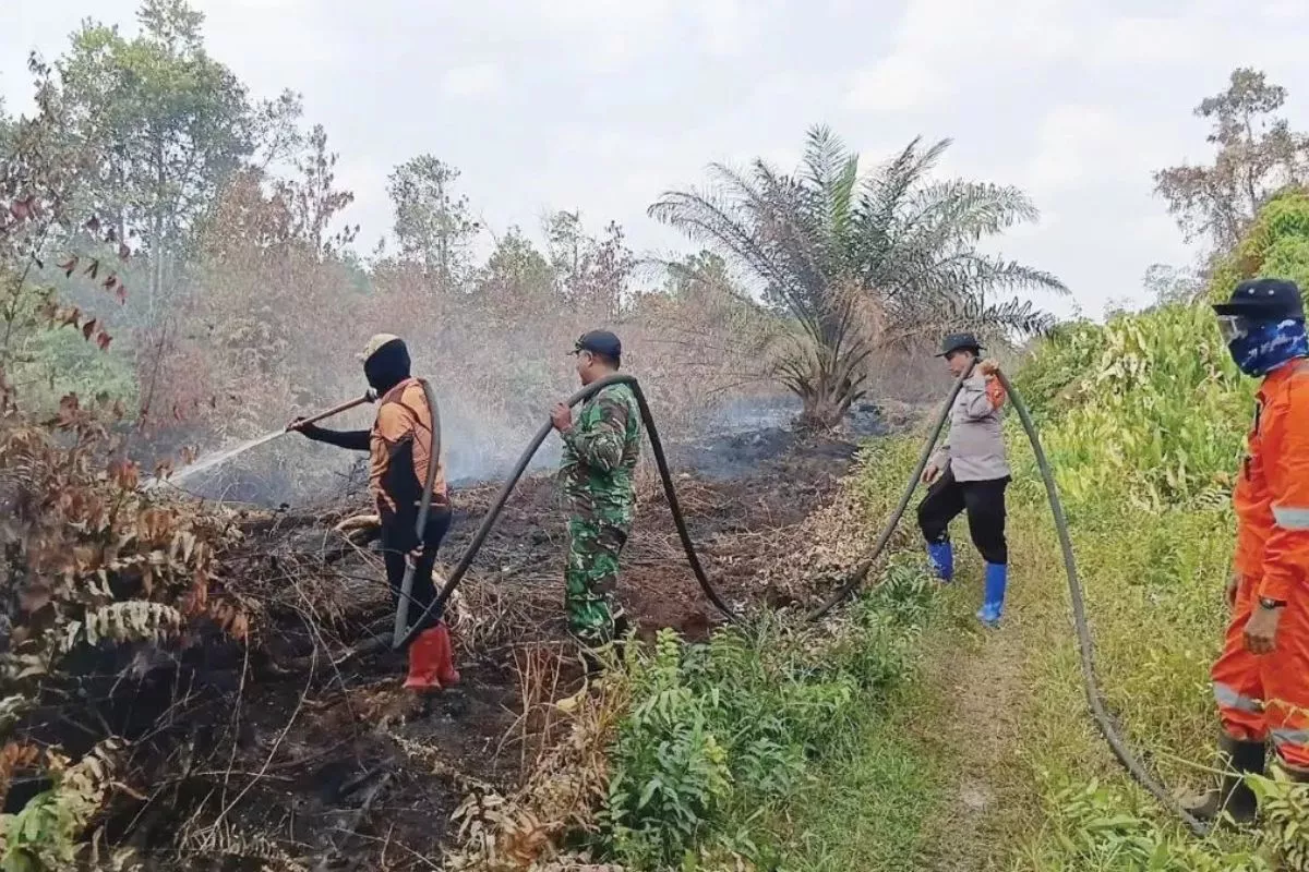 Cegah Karhutla, KLH Rilis SE Larangan Buka Lahan dengan Membakar