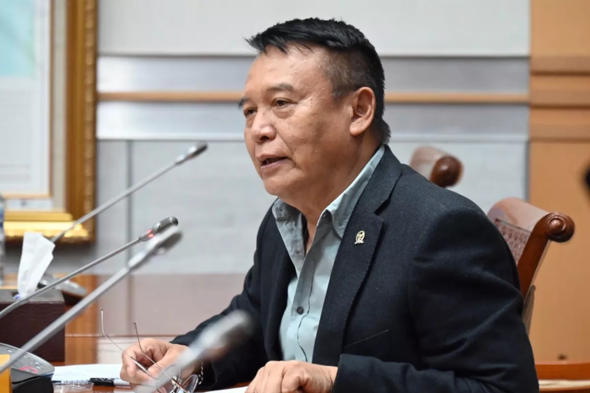 Tanggapan TB Hasanuddin Terkait Pelibatan TNI Dalam Pengawasan Pajak