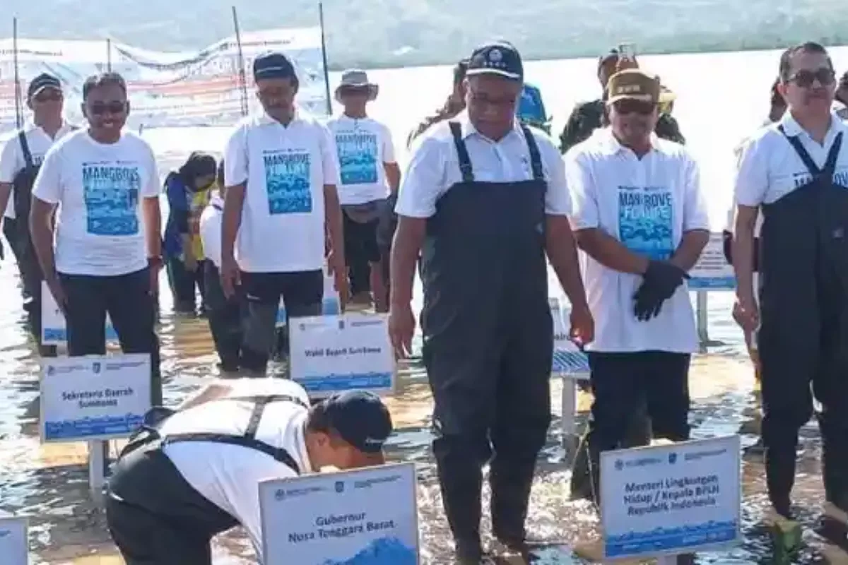 Pemerintah: Perdagangan Karbon Jangan Dijadikan Spekulasi Bisnis