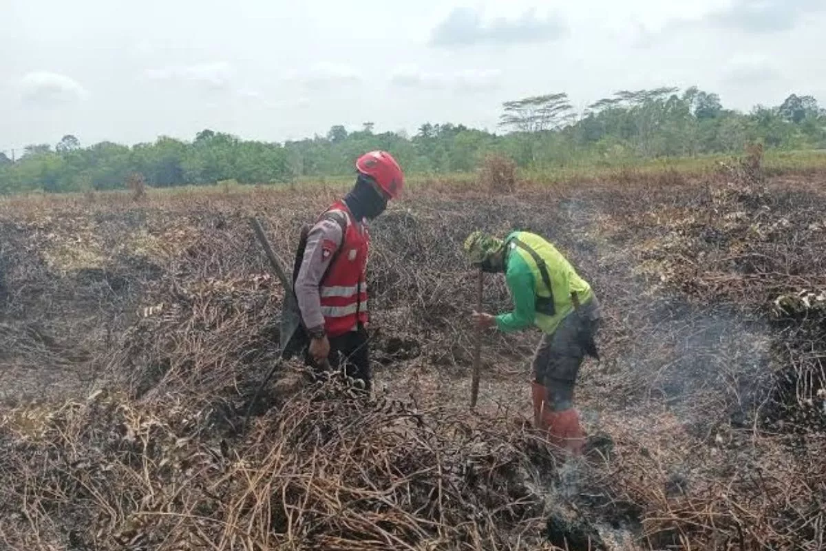 BNPB Deteksi 61 Titik Api di IKN Lahan Terbakar Capai 400 Hektar