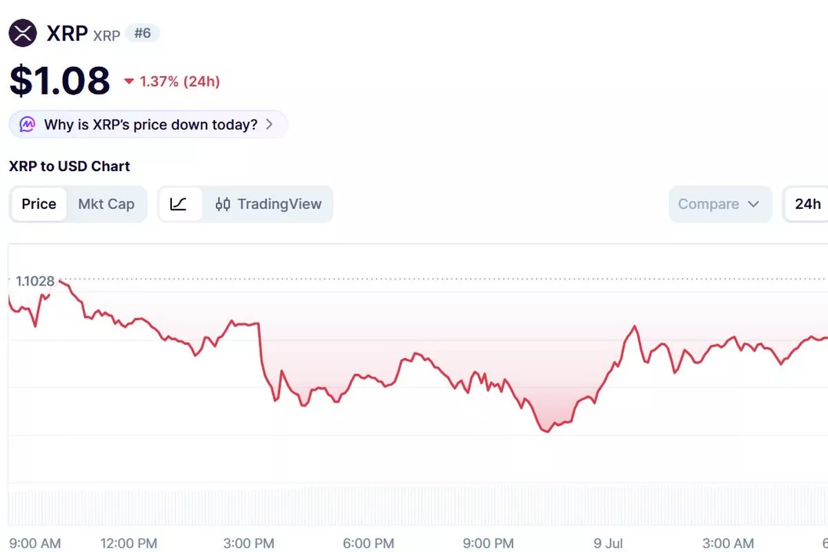 Turun ke Level 1,08 Dollar AS, Harga XRP Hari Ini Masuk Zona Merah