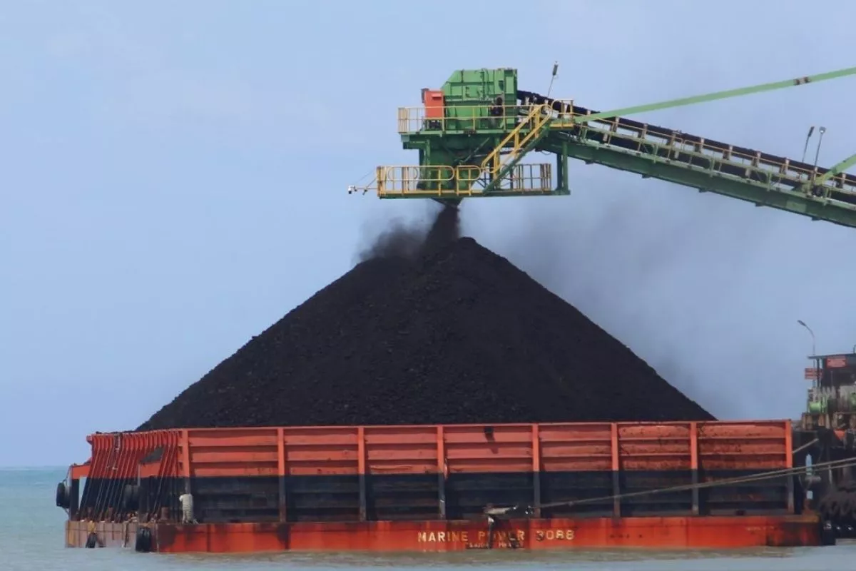HBA Agustus 2026 Terkoreksi 5,62 Persen Dan Diproyeksi Tetap Stabil