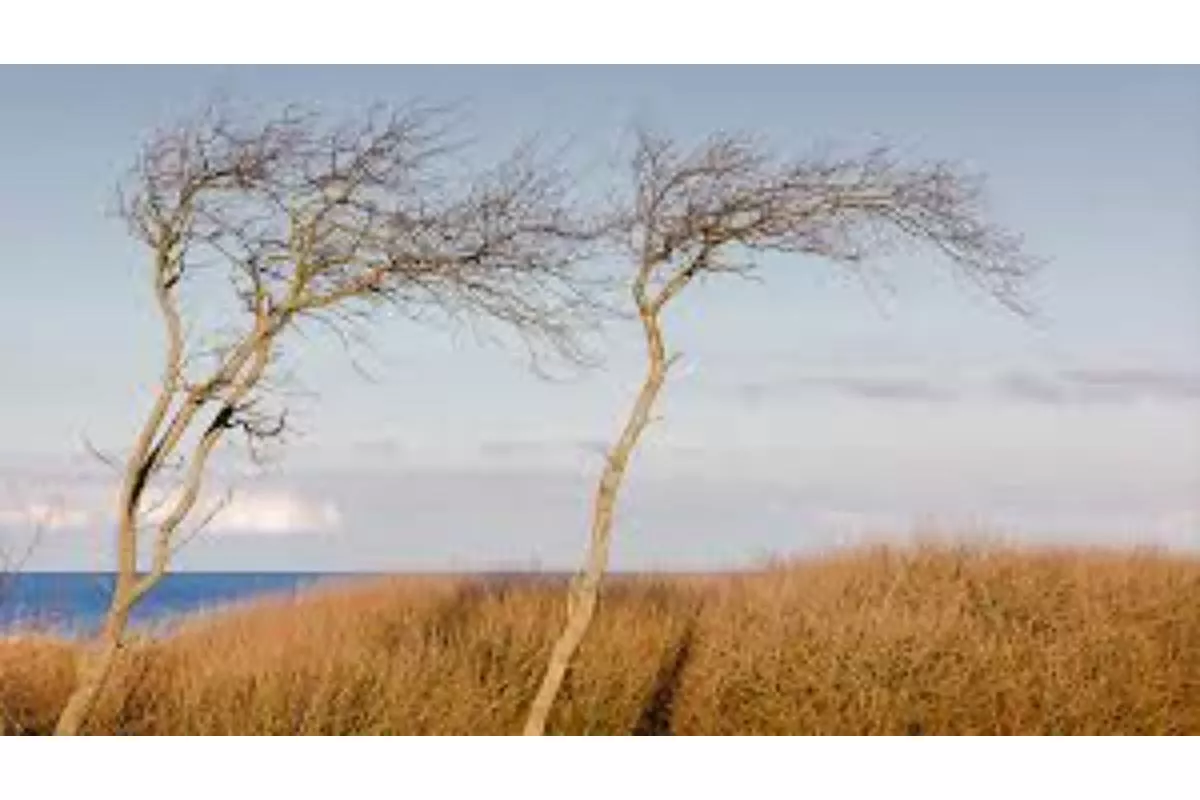 Langkah Bijak Hadapi Musim Kemarau 2026 Agar Stok Air Tetap Aman