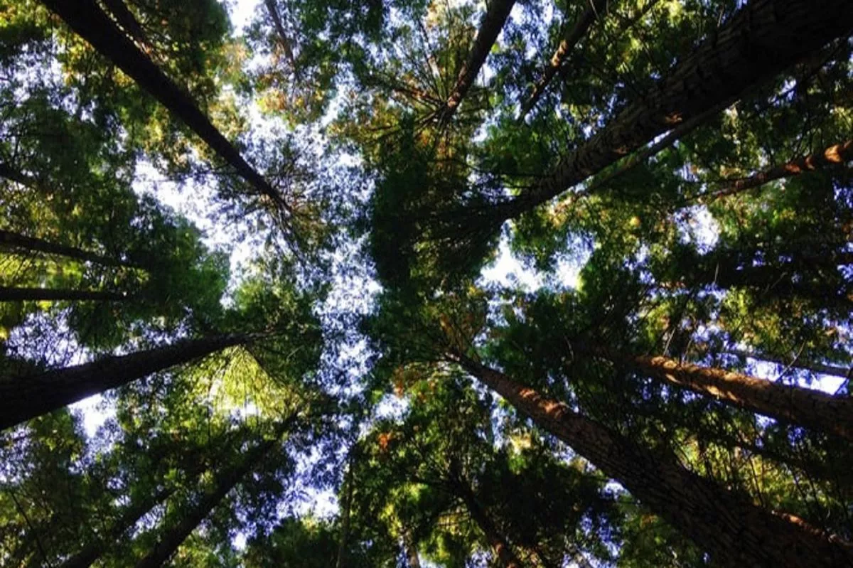 SIG Percepat Transformasi Hijau Melalui Pemanfaatan Limbah