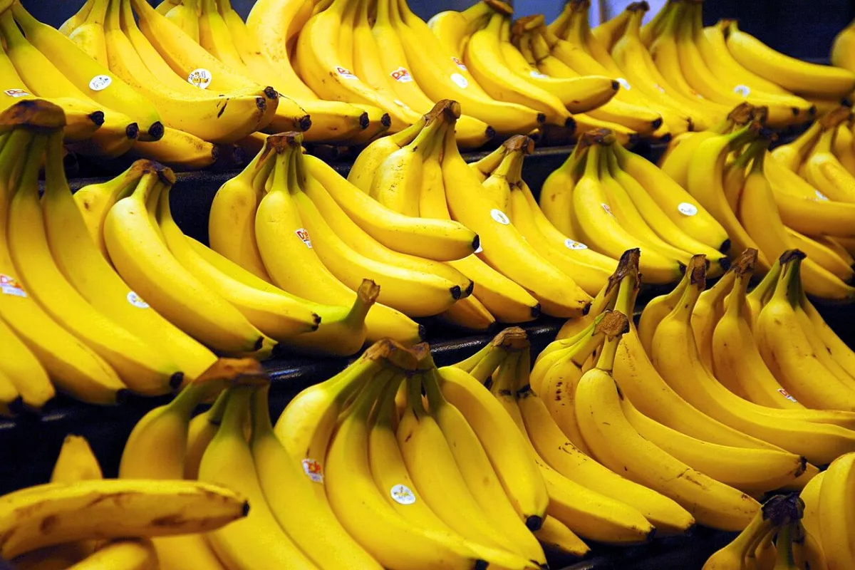 Manfaat Buah Pisang bagi Kesehatan Tubuh