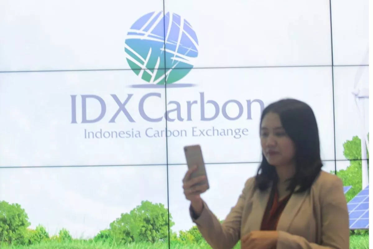 Pasar Karbon RI Masih Minim, BRIN Soroti Kualitas Data dan Sistem