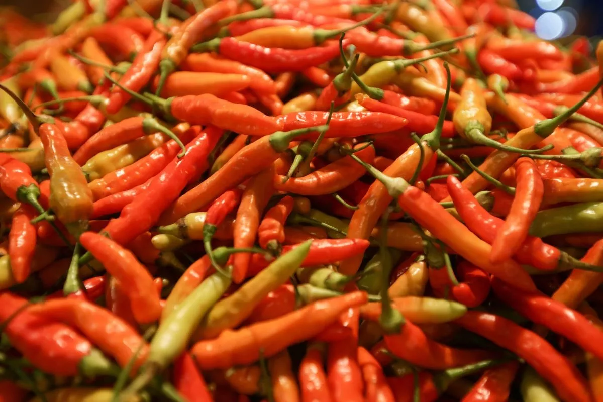 Pergerakan Harga Pangan Jatim Cabai Rawit Merah Naik Rp44.839 per Kg