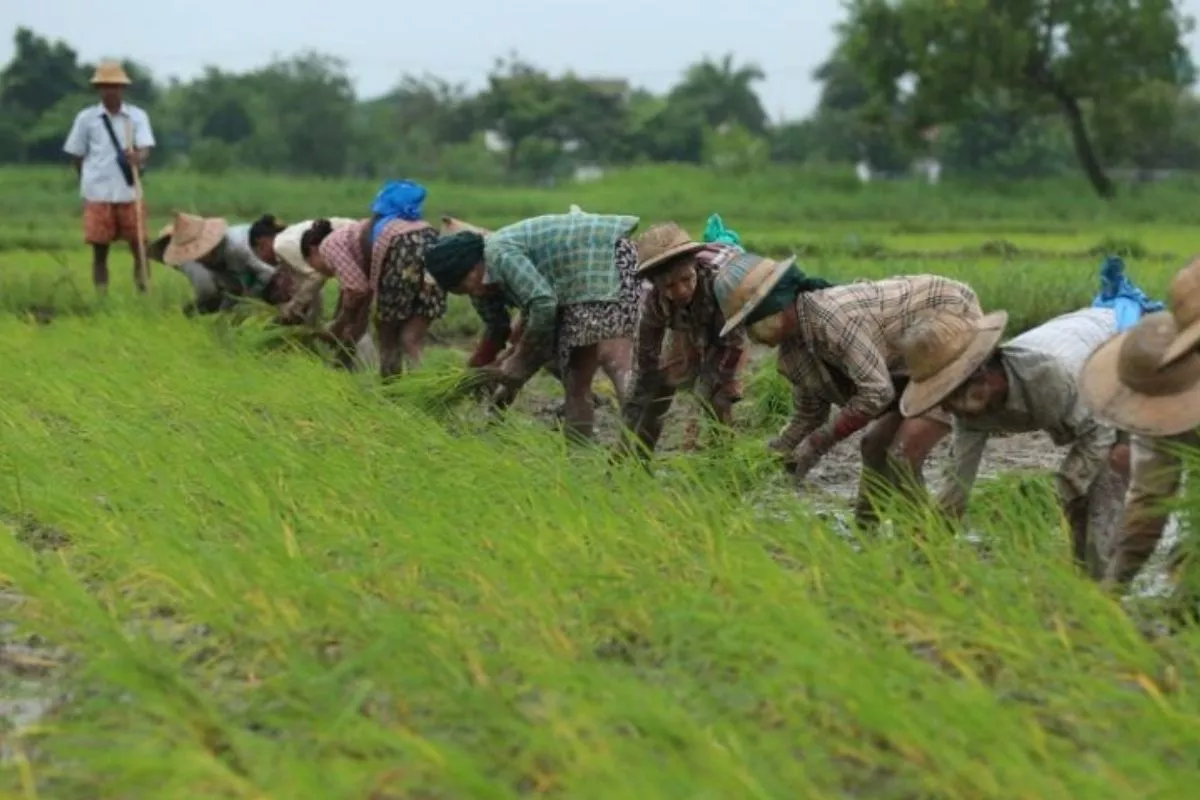 BPS Catat NTP Agustus 2026 Naik 1,05% Menjadi 129,19