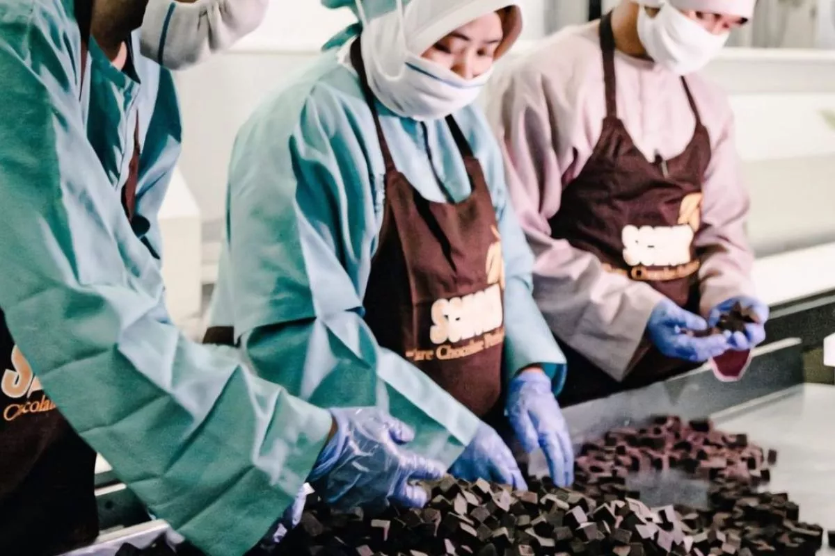 Bidik Dana Rp1,28 Triliun, COCO Rancang Rights Issue untuk Akuisisi