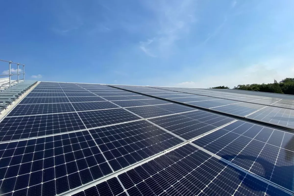 Akselerasi Transisi Energi di Momentum Kebangkitan Nasional
