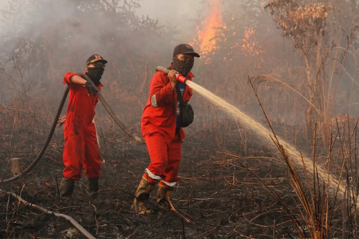 Tekan Karhutla, 6 Provinsi Diprioritaskan Operasi Darat