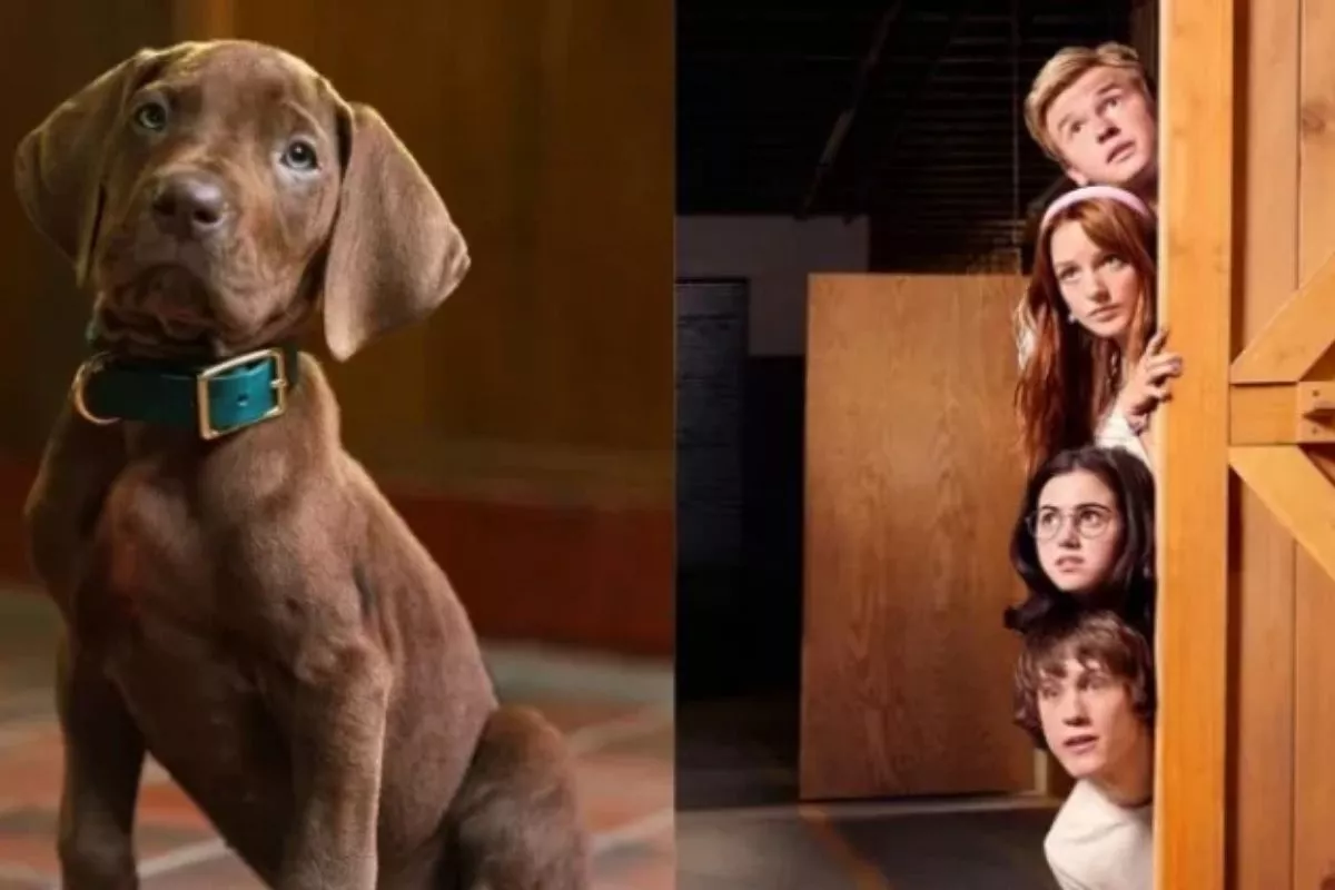 Produksi Selesai, Scooby-Doo: Origins Siap Tayang 2027