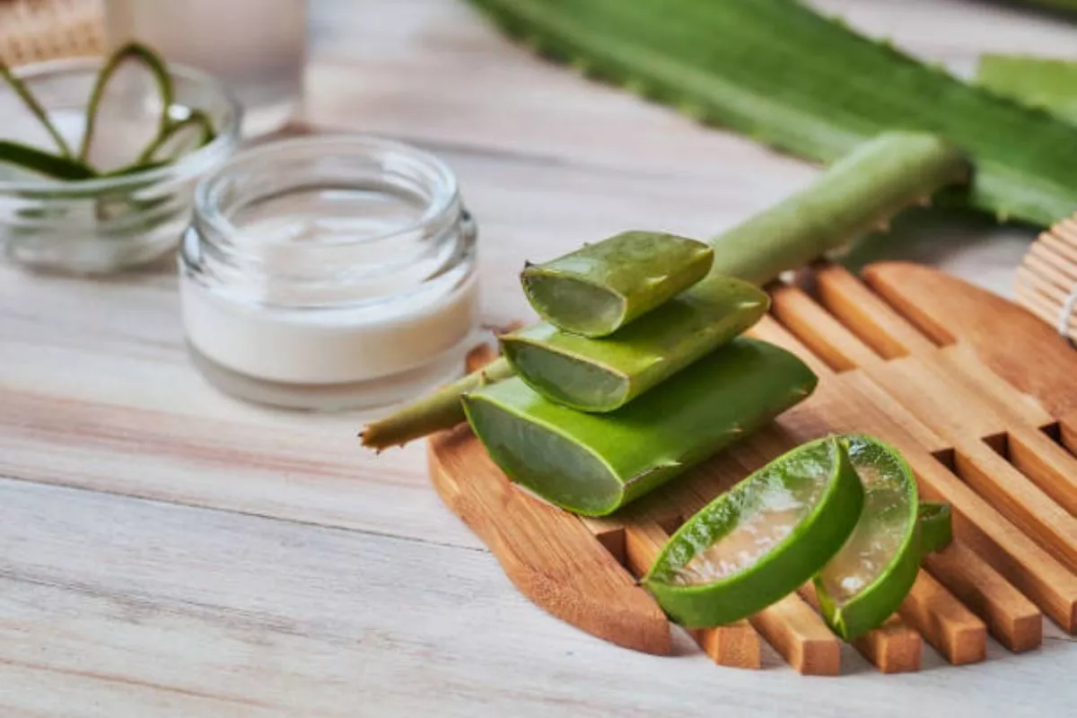 Berbagai Manfaat Aloe Vera untuk Perawatan Kulit dan Rambut yang Aman