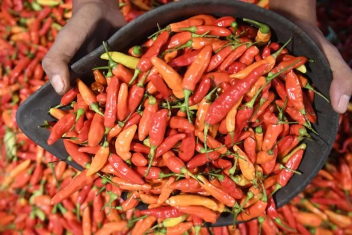 Harga Pangan Pasar Kebayoran Lama: Cabai Rawit Merah Rp 60 Ribu per Kg