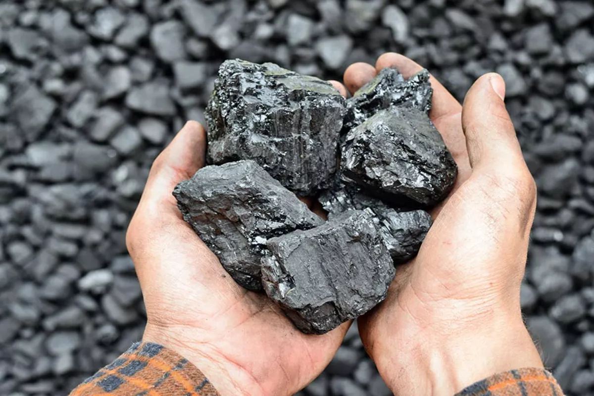 Dampak Insiden China dan Kebijakan RI, Harga Batu Bara Bisa Melonjak