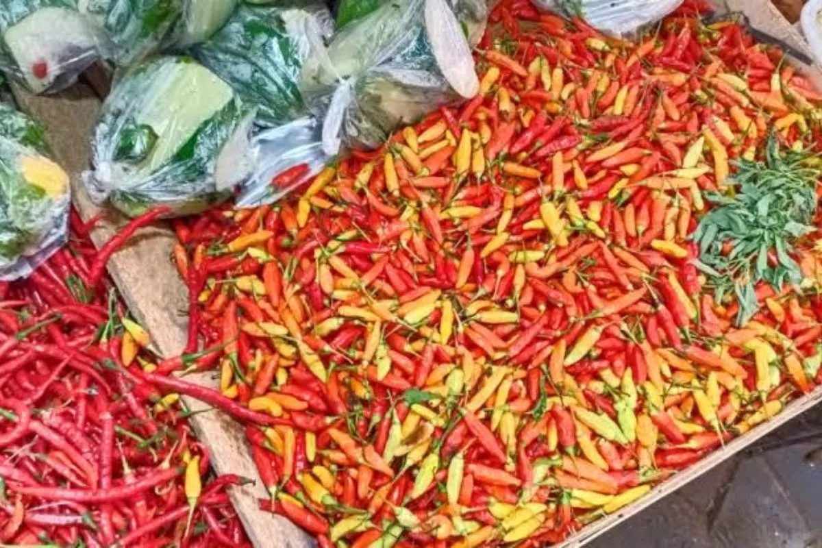 PIHPS Catat Harga Cabai Rawit Rp59.650/kg, Telur Ayam Rp29.450/kg