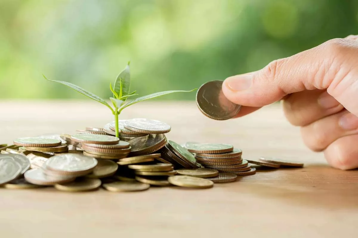 Investasi Pemula: Panduan Aman Membangun Aset Finansial dari Nol