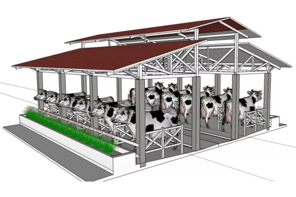 Strategi Manajemen Kandang Ternak Sapi Modern demi Laba Maksimal