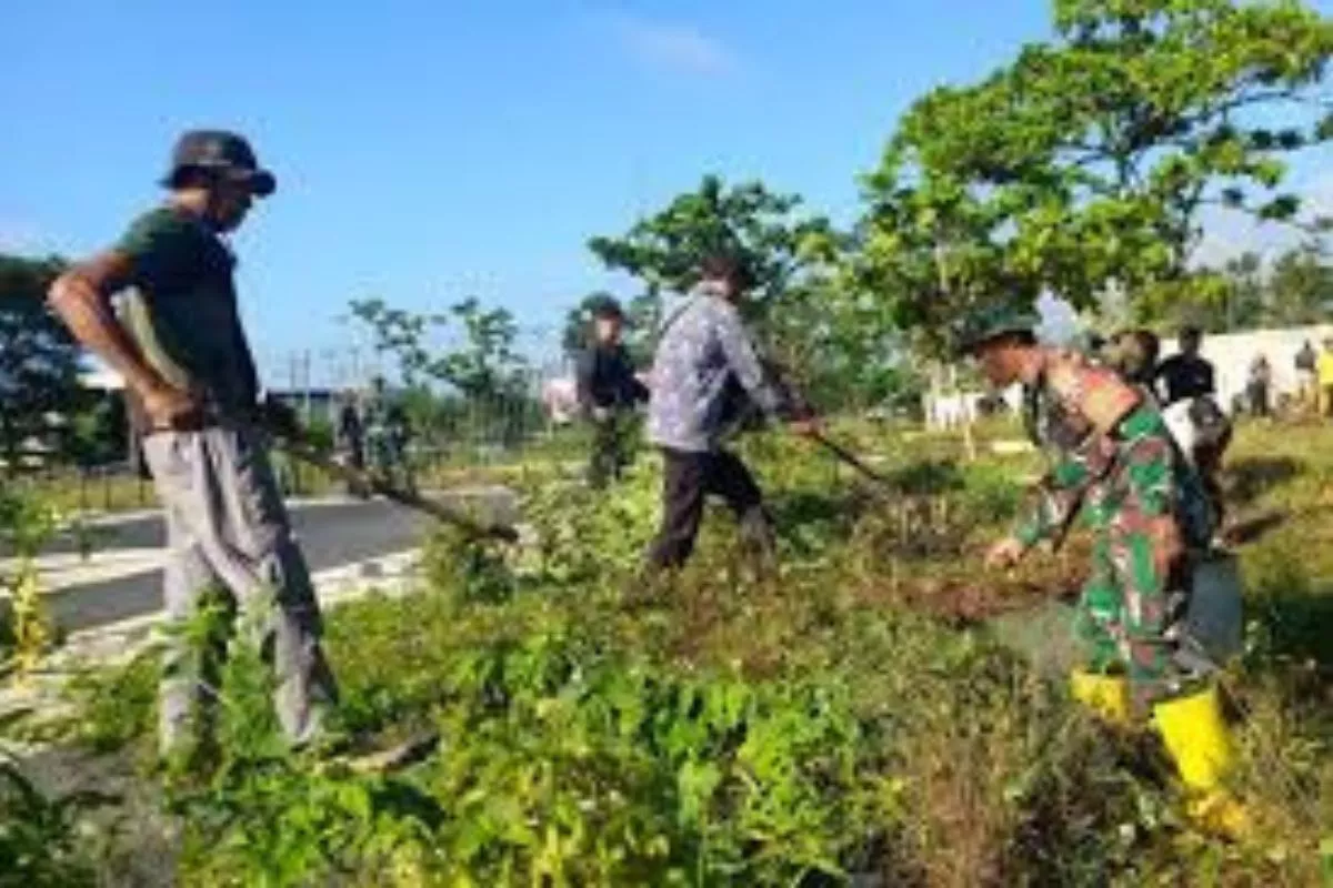 PLN EPI dan Sorbu Agro Energi Kembangkan Biomassa Sorgum