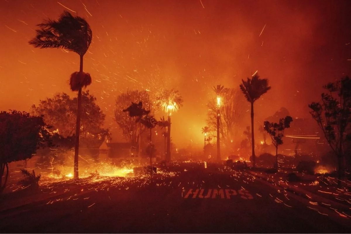 Membakar Hutan Amerika untuk Listrik Eropa: Bahaya bagi Lingkungan