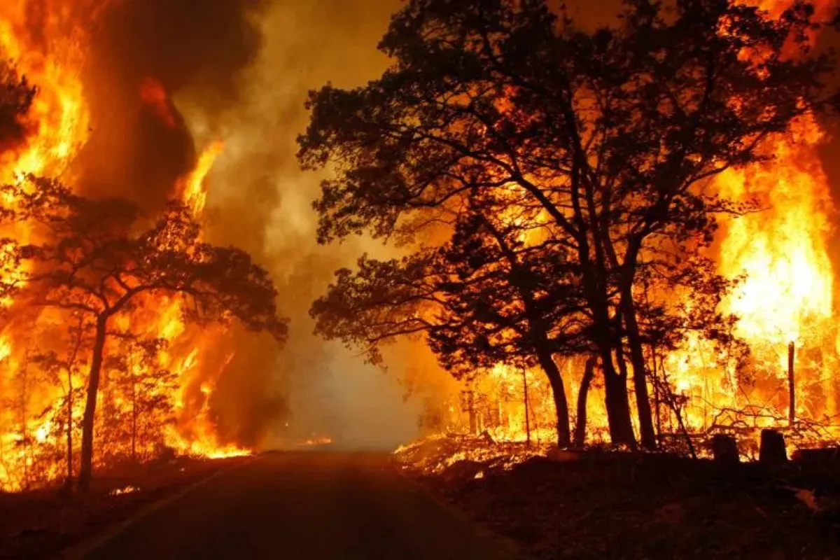 BMKG Deteksi Lonjakan 1.104 Titik Panas di Pulau Sumatera