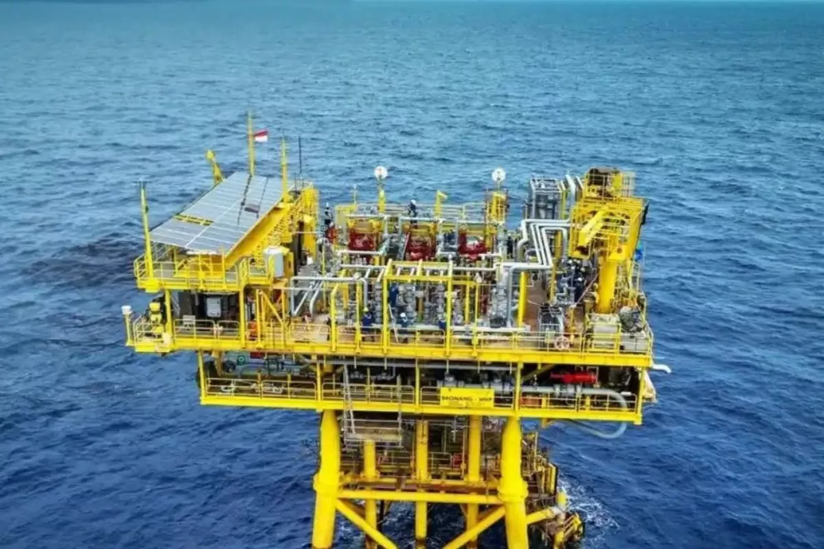 Wamen ESDM Bahas Kelanjutan Proyek Blok Tuna Bersama Rusia