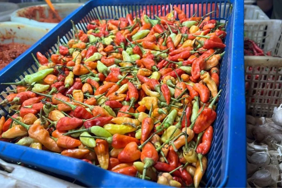 Update PIHPS: Cabai Rawit Rp55.150 & Telur Ayam Rp29.600/Kg