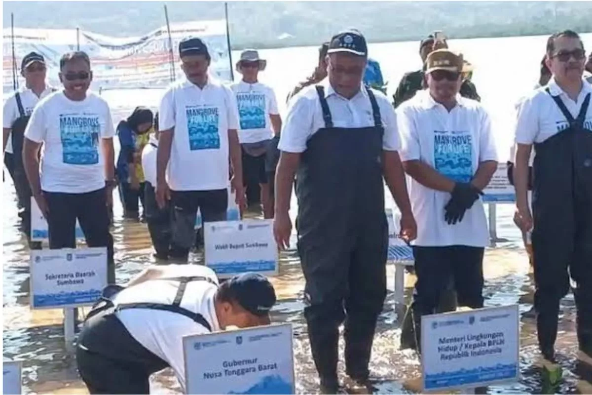 Freeport Tuntaskan Rehabilitasi 484 Hektare Mangrove di NTB