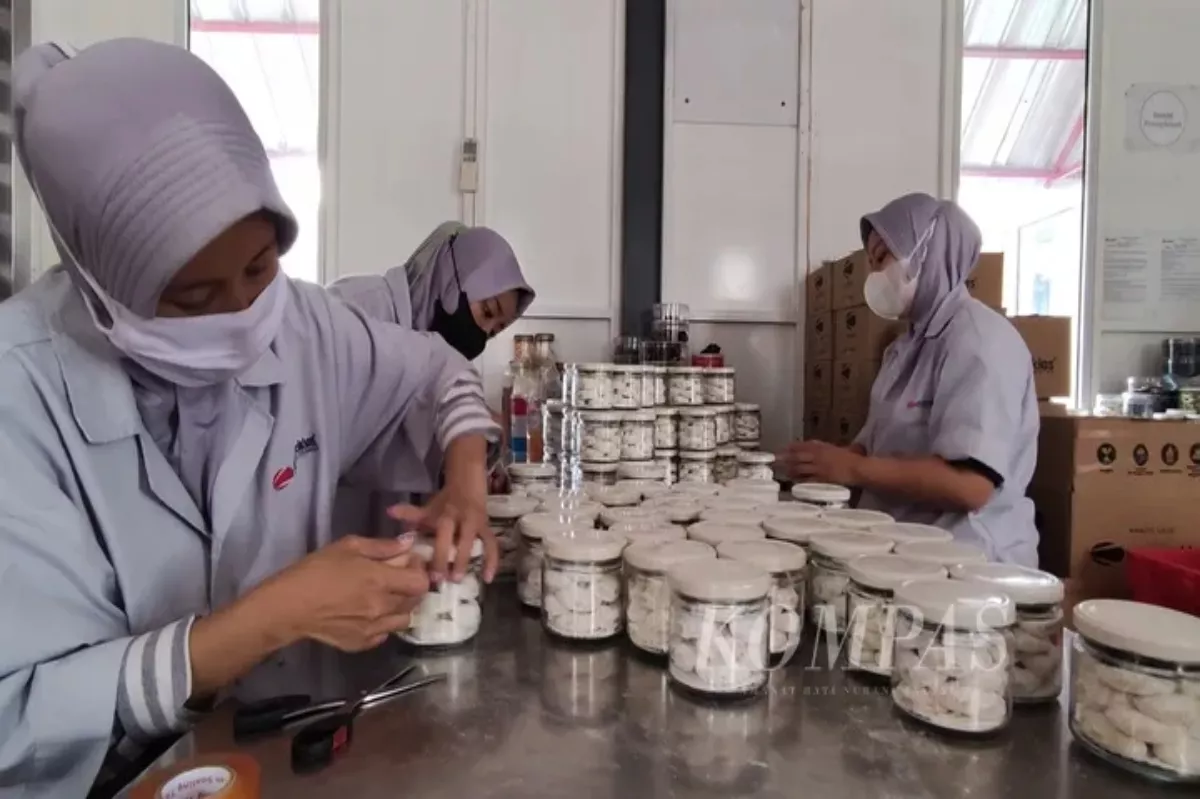 Pro Kontra Sistem Kerja Empat Hari: Efektifkah untuk Industri RI?