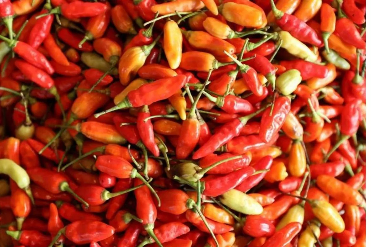 Update Harga Pangan Nasional: Cabai Rawit Rp82.700, Telur Rp29.650/Kg