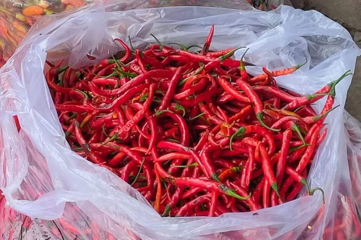 PIHPS Rilis Harga Pangan Cabai Rawit Rp63.200 per Kg Telur Rp29.150