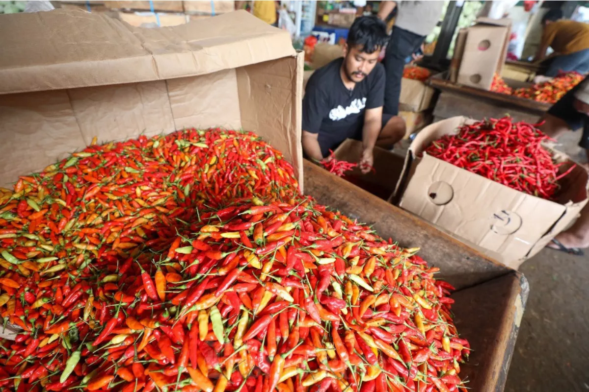 Harga Pangan 7 Juli: Cabai Rawit Merah Sentuh Rp62.150 per Kg