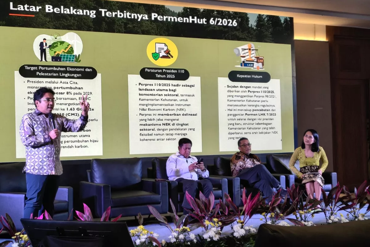 Indonesia Perkuat Tata Kelola Pasar Karbon Menuju Standar Global