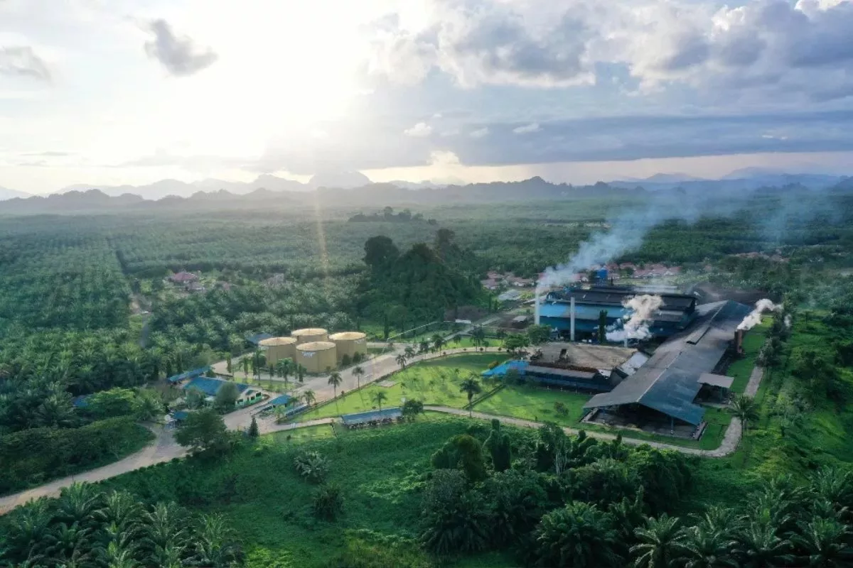 Eagle High (BWPT) Rancang Dividen Interim Usai Kuasi Reorganisasi